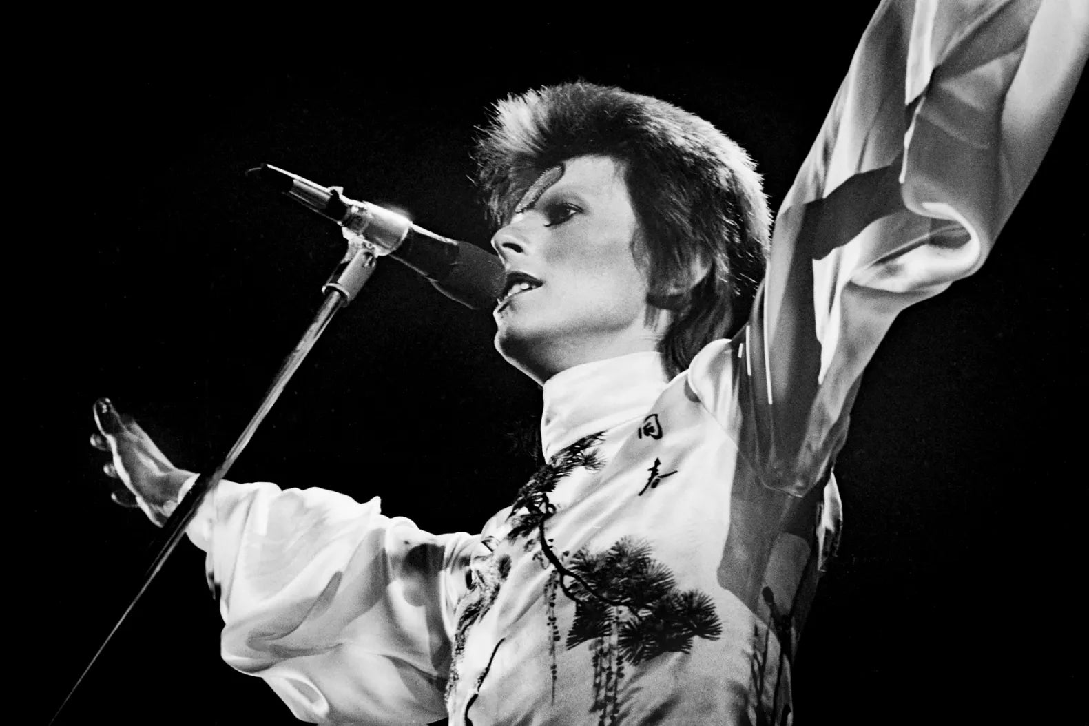 David Bowie