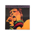 David Bowie - From The Victoria Hall Archives - 2 LP