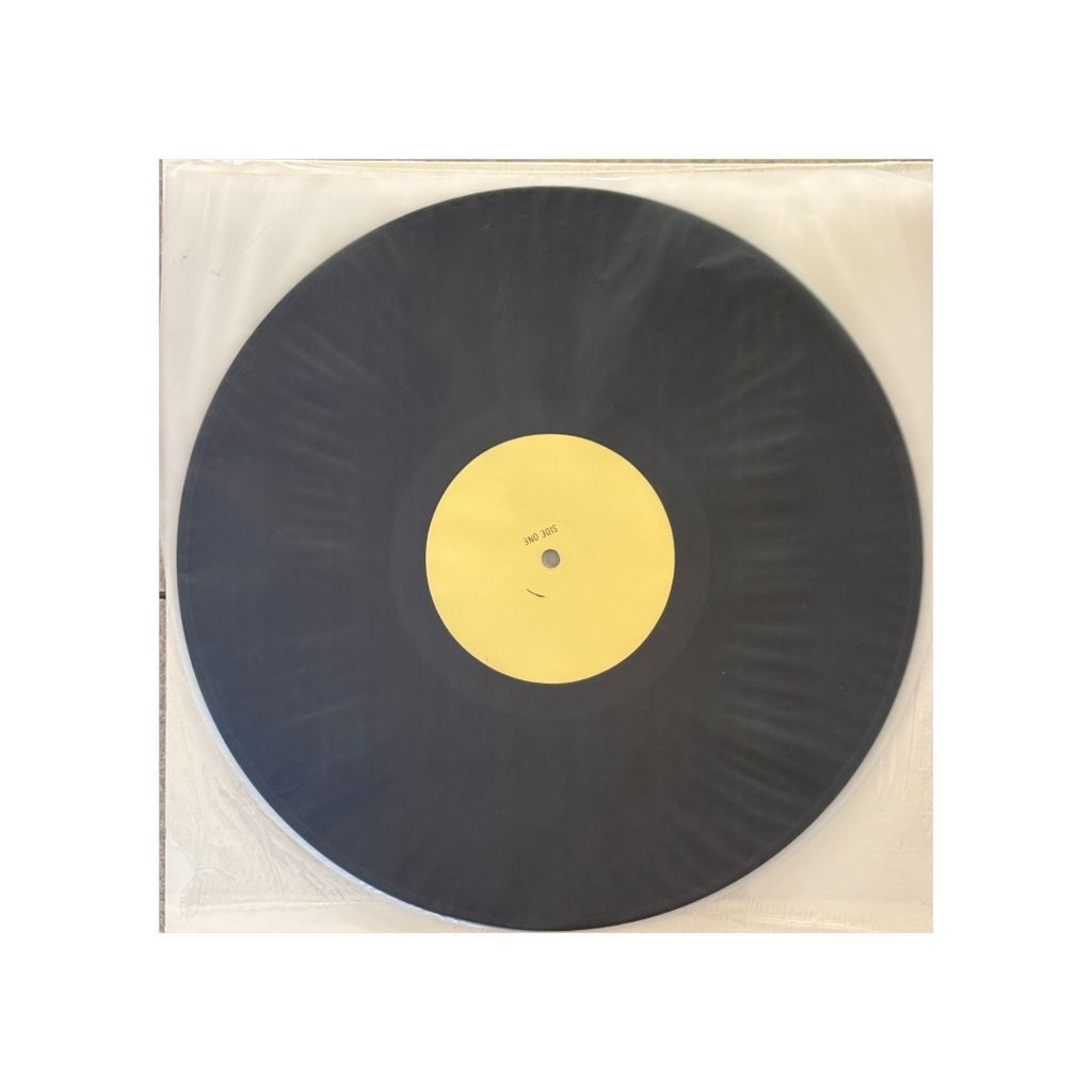 Led Zeppelin - The 1975 World Tour - 2 LP