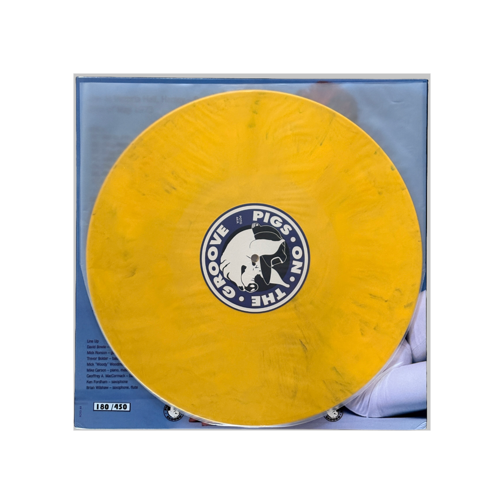 David Bowie - From The Victoria Hall Archives - 2 LP
