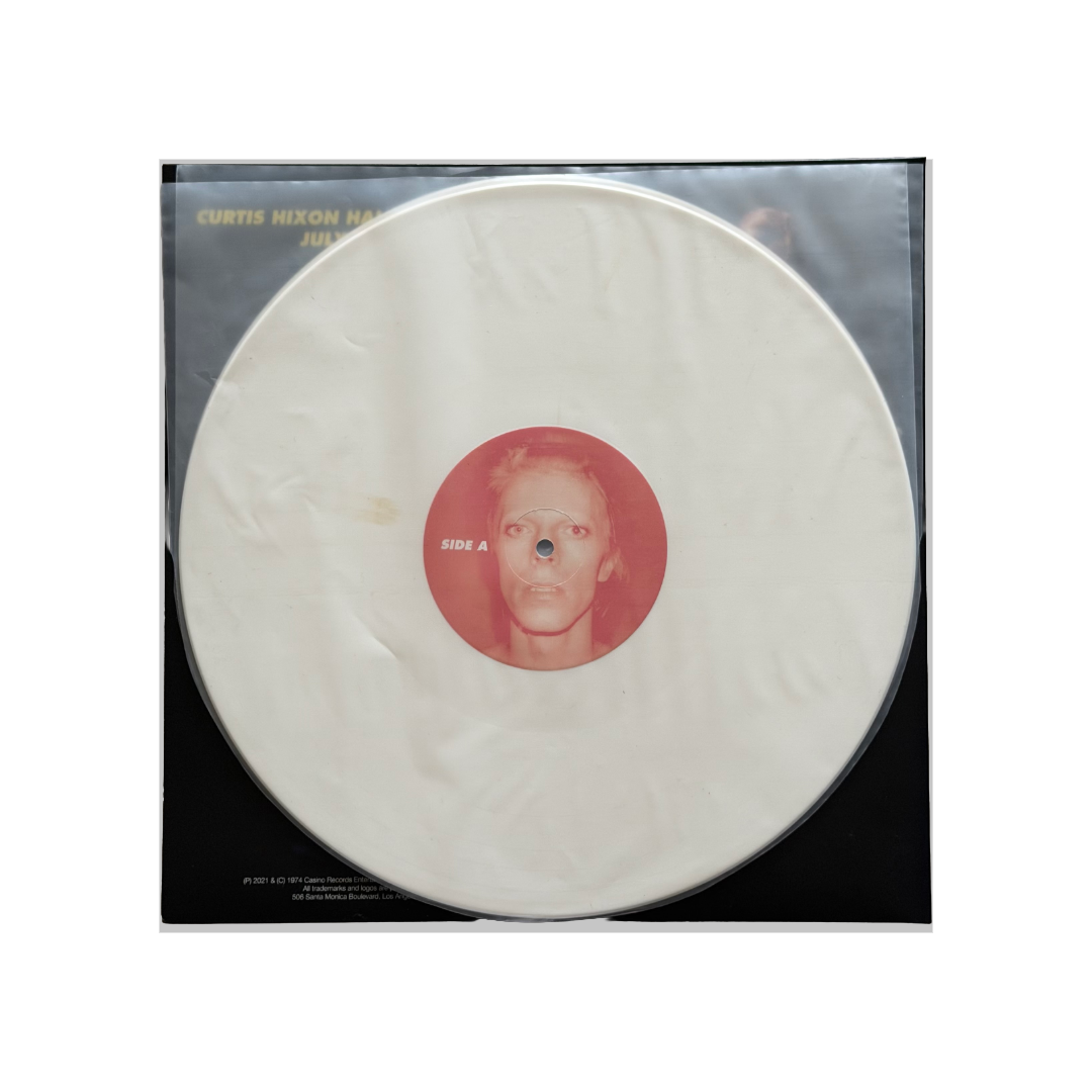 David Bowie - Stripped Down in Tampa - 2 LP