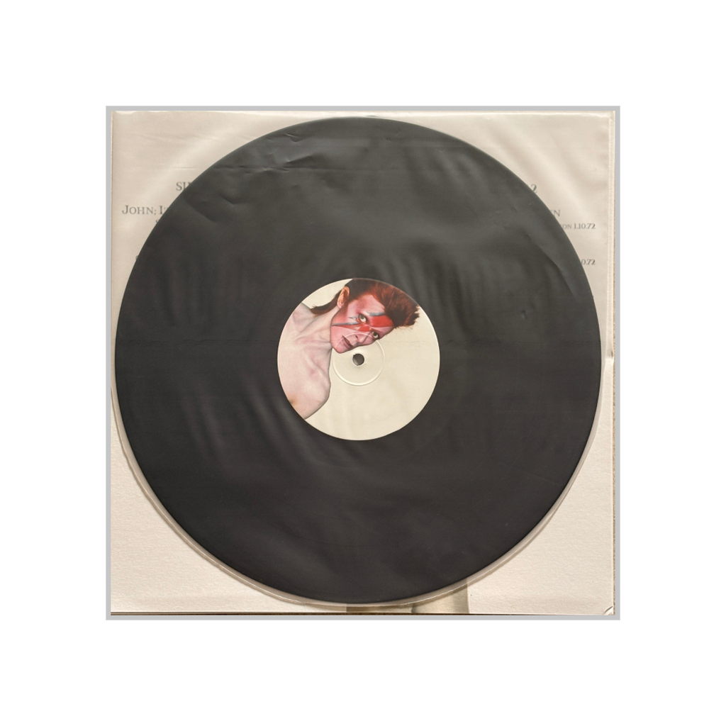 David Bowie - The Aladdin Sane Companion
