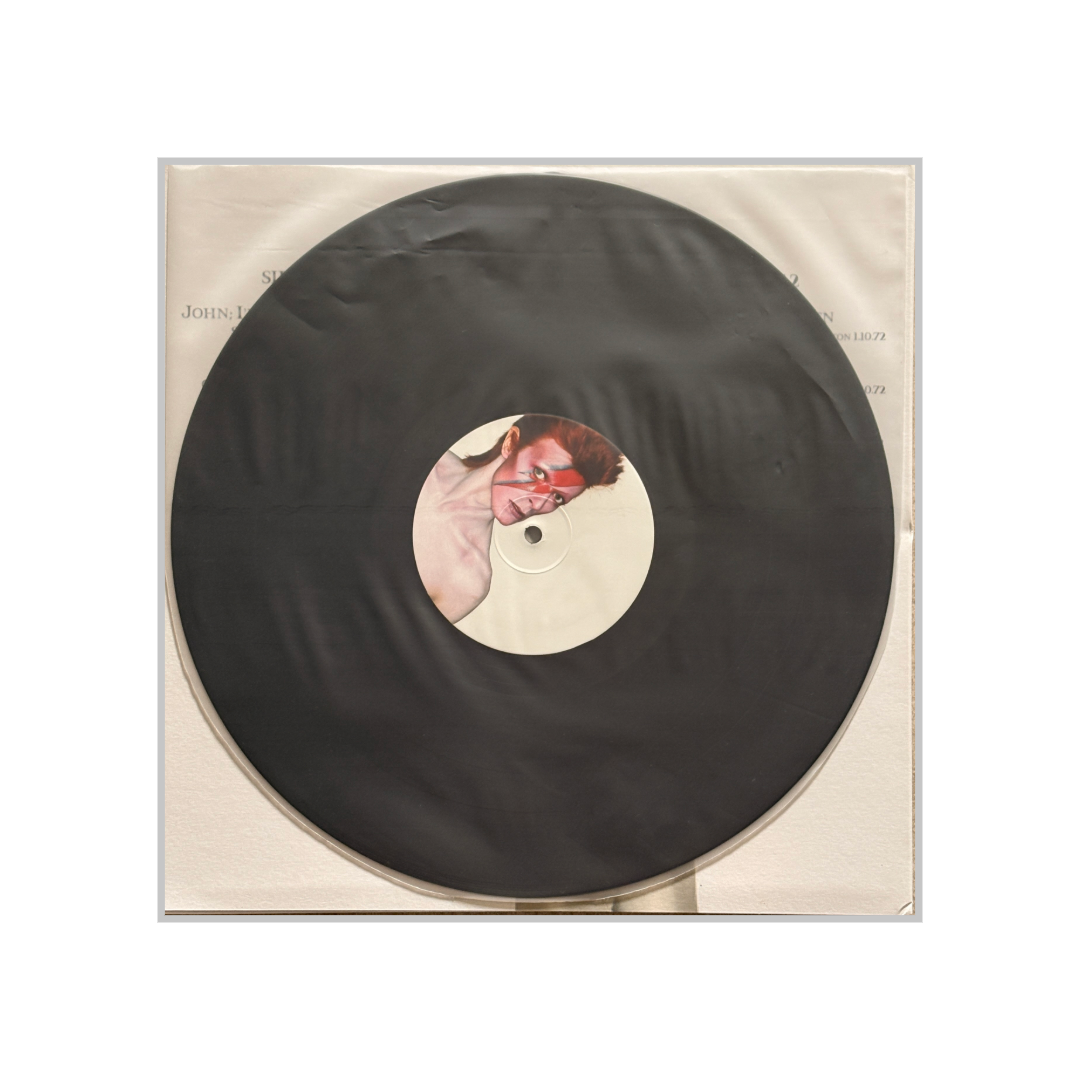 David Bowie - The Aladdin Sane Companion