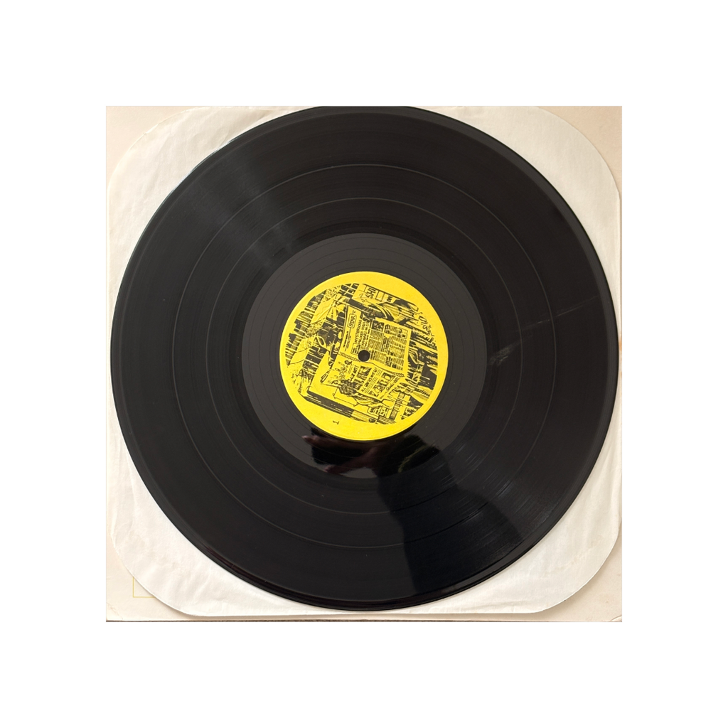 Robert Plant - Starting Over - 2 LP